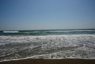 DSC_2511 (Large).JPG